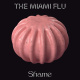 Shame Album Cover by The Miami Flu
