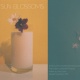 Sun Blossoms Album Cover by Sun Blossoms